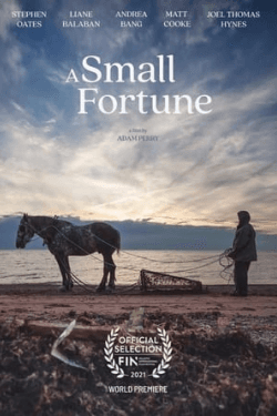 A Small Fortune (2021)