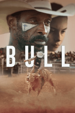 Poster Bull (2019)