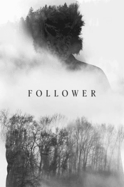 Poster Follower (2022)