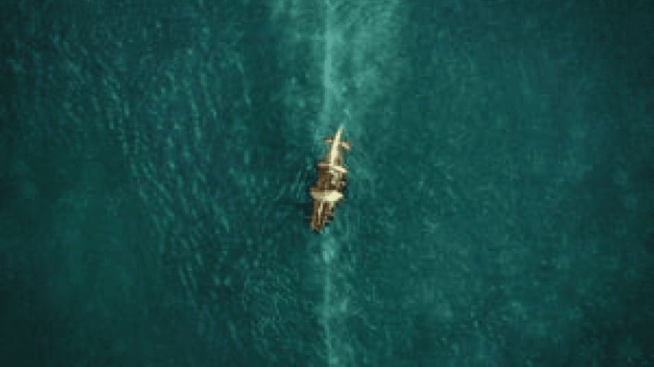 In the Heart of the Sea (2015)