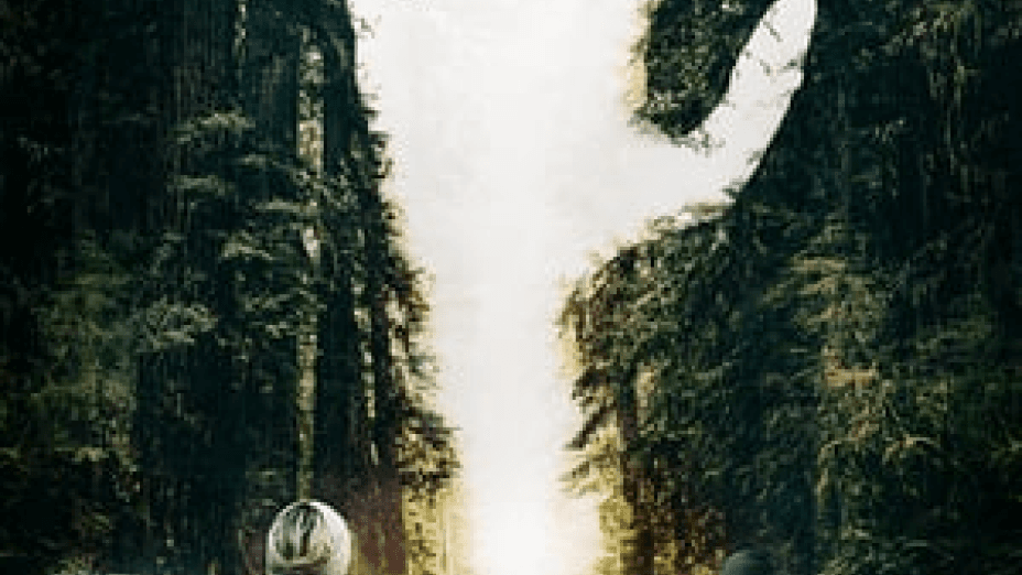 Clinton Road (2019)