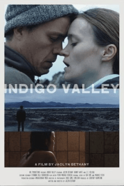 Poster Indigo Valley (2020)