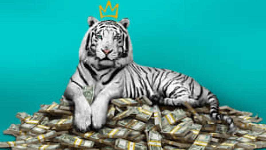 The White Tiger (2021)