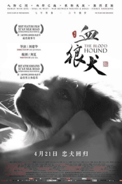 Poster The Blood Hound (2016)