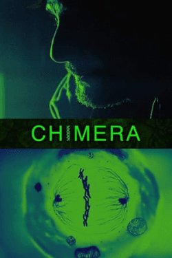 Chimera Strain (2018)