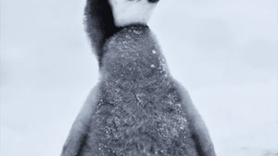 Snow Chick: A Penguin’s Tale (2015)