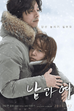 Poster A Man and a Woman (2016)