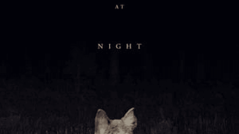 It Comes At Night (2017)