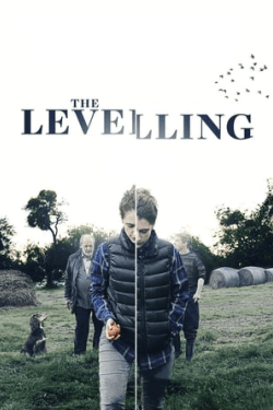 Poster The Levelling (2016)