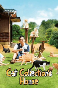 Poster Neko Atsume House (2017)