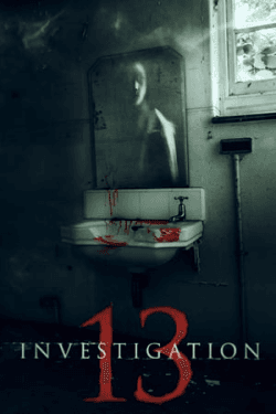 Poster Investigation 13 (2019)