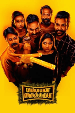 Poster Vallavan Vaguthadhada (2024)