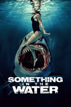 Poster Something in the Water (2024)