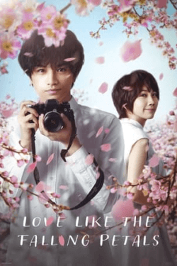 Poster Love Like the Falling Petals (2022)