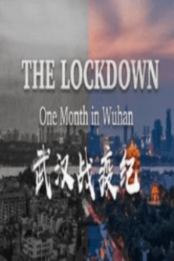 Poster The Lockdown: One Month in Wuhan (2020)