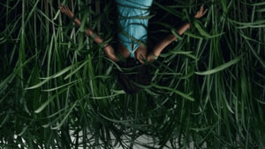 In the Tall Grass (2019)