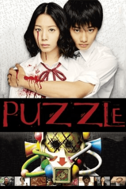 Poster Puzzle (2014)