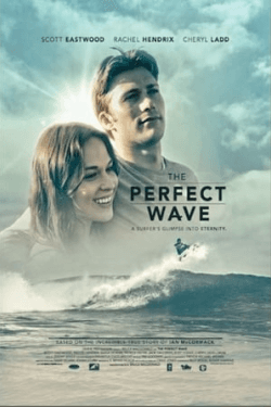 Poster The Perfect Wave (2014)