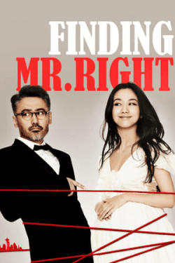 Poster Finding Mr. Right (2013)