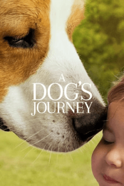 A Dog’s Journey (2019)