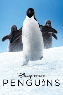 Poster Penguins (2019)