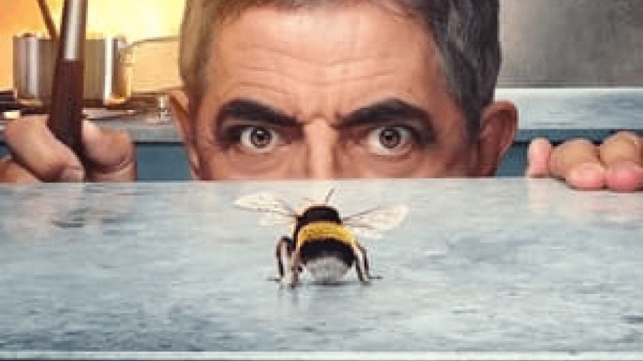 Man Vs Bee