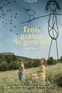 Trois grains de gros sel (2021)