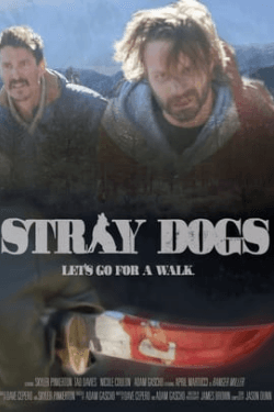 Poster Stray Dogs (2020)