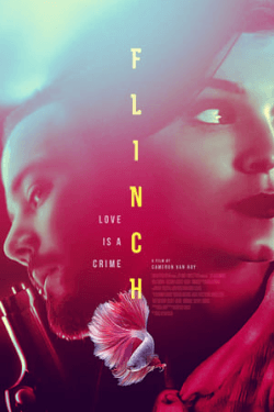 Poster Flinch (2021)