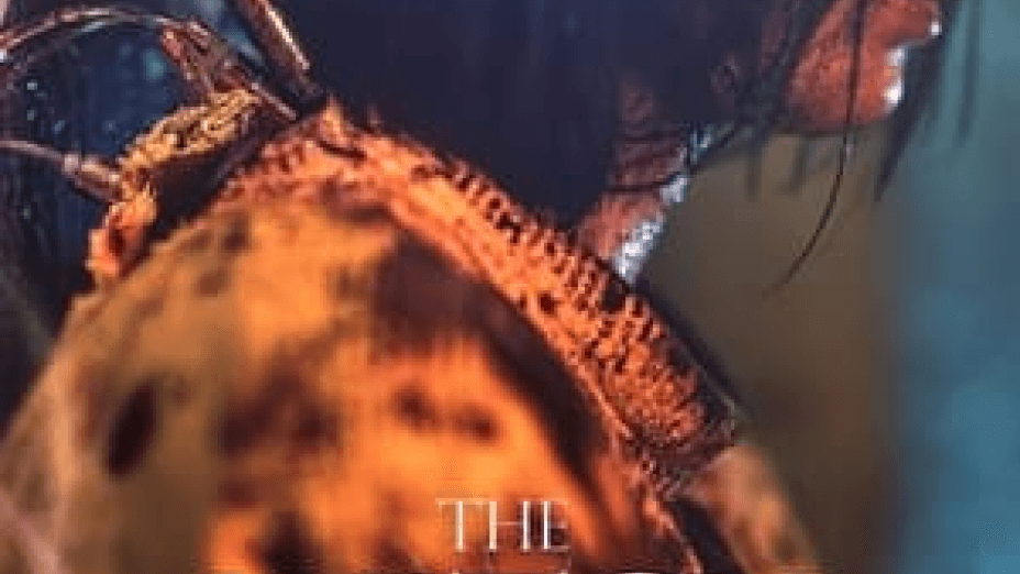 The Witch: Part 2. The Other One (2022)