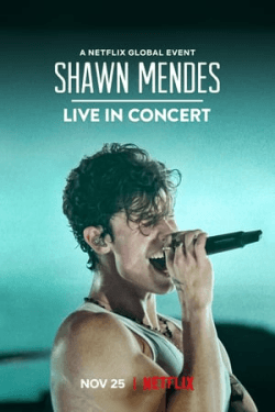 Poster Shawn Mendes: Live in Concert (2020)