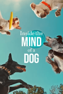 Poster Inside the Mind of a Dog (2024)