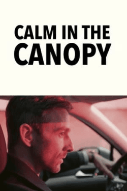 Calm in the Canopy (2024)