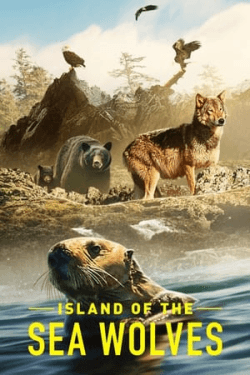 Poster Island of the Sea Wolves