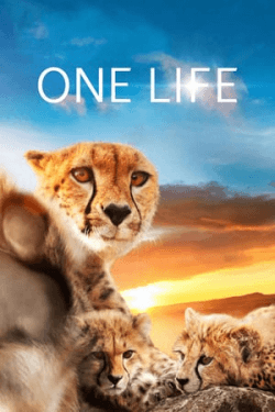 One Life (2011)