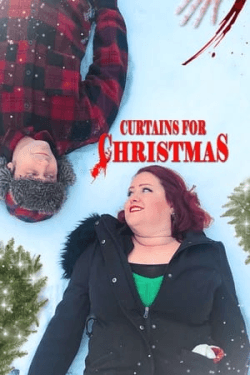 Poster Curtains for Christmas (2024)