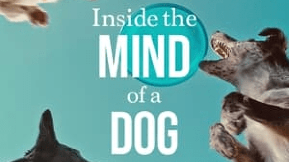 Inside the Mind of a Dog (2024)