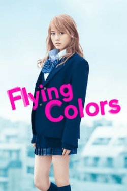 Poster Flying Colors (2015)