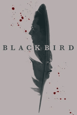 Poster Black Bird