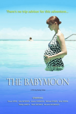 Poster The Babymoon (2017)