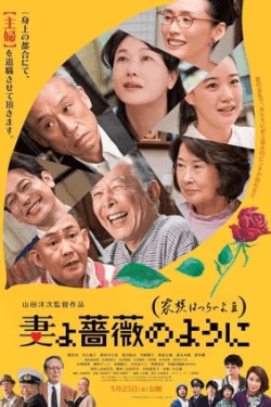 Poster What a Wonderful Family! 3: My Wife My Life (2018)