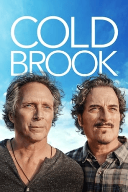 Poster Cold Brook (2018)