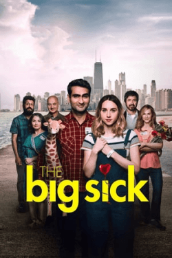 The Big Sick (2017)