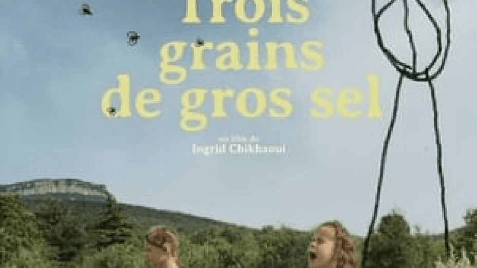 Trois grains de gros sel (2021)