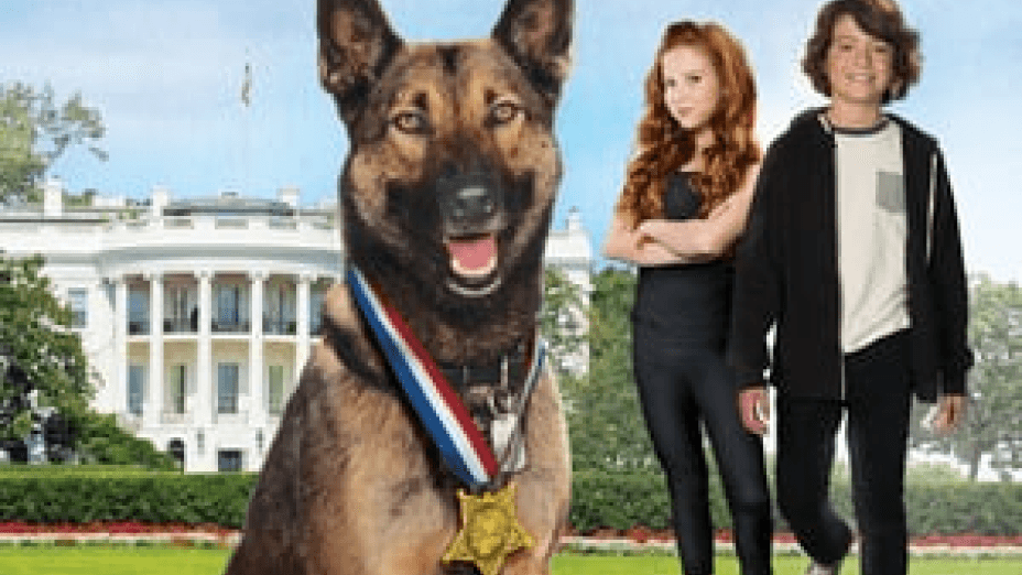 Max 2: White House Hero (2017)