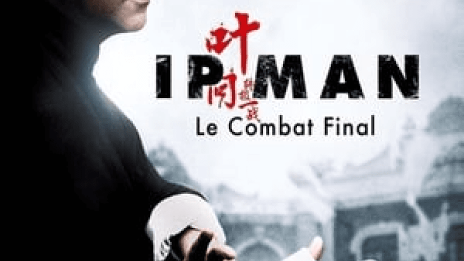 Ip Man: The Final Fight (2013)