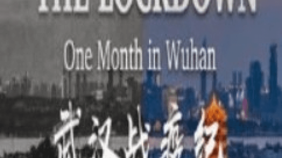 The Lockdown: One Month in Wuhan (2020)