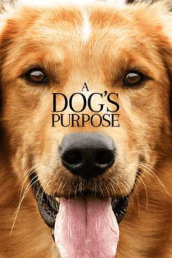 Poster A Dog’s Purpose (2017)