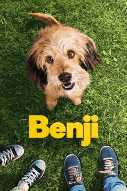 Poster Benji (2018)