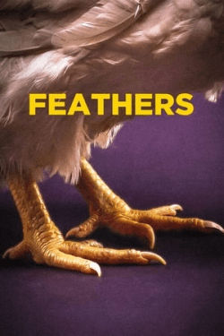 Poster Feathers (2022)